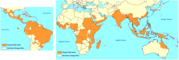 Image: Dengue in the world